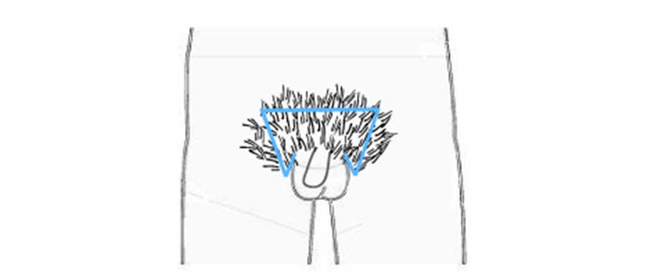 スクエア型 残さないスタイル