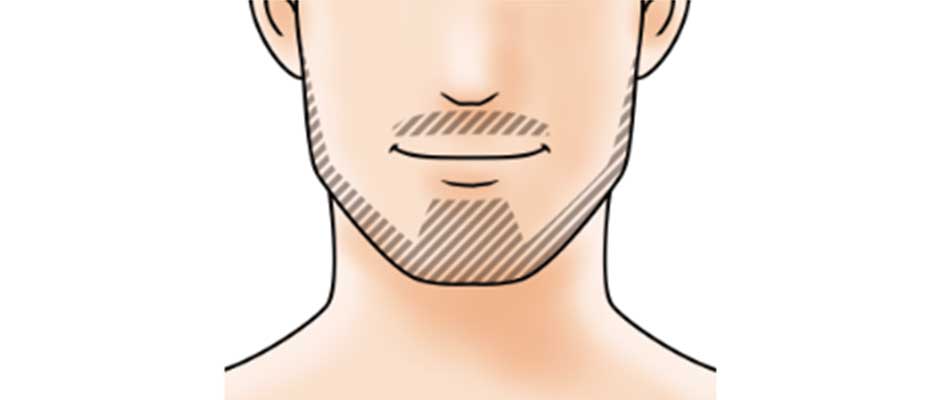 鼻下 + あごヒゲ + もみあげ