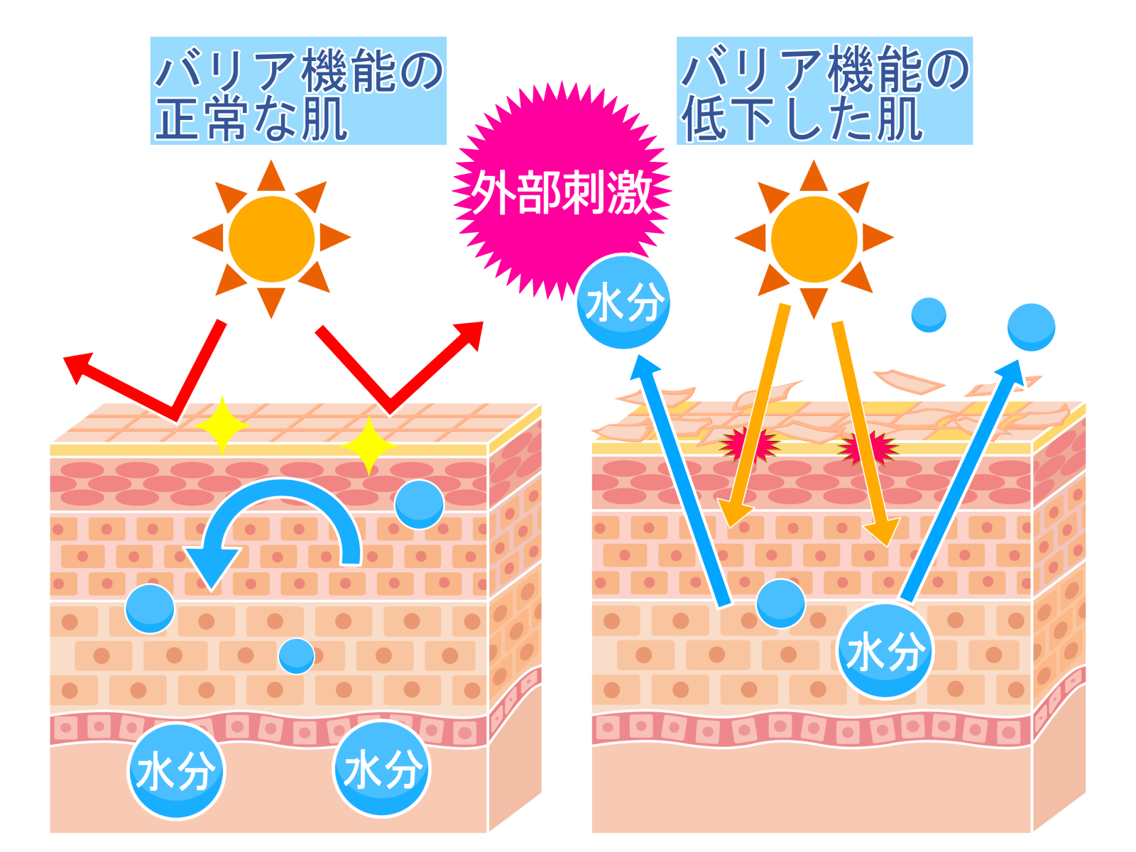 保湿ケアのイメージ