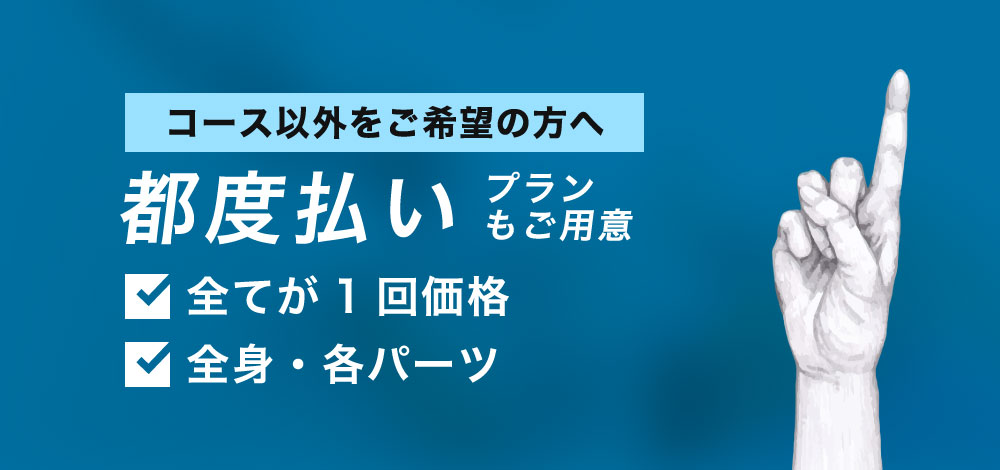 都度払い1回プラン